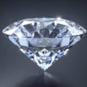 Meet your Posher, Sasha